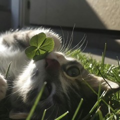 nosebleed⛓️ w babyjay