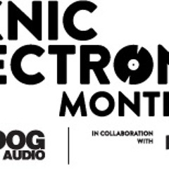 James Holden @ Piknic Electronik Montreal 05-Sep-2009