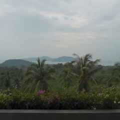 Collision - Delay - Intent