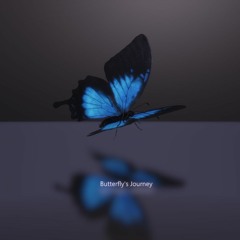 Butterfly's Journey
