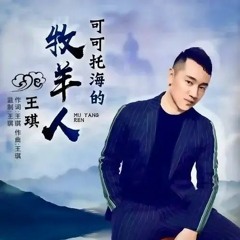 ChinaDJ - 王琪 - 可可托海的牧羊人(Dj华仔 FunkyHouse Mix)