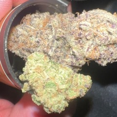 Smoke And Toke - Wiz Khalifa Type Beat