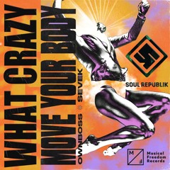 David Guetta, Ownboss & Sevek - Crazy What Move Your Body (Soul Republik Radio MashBoot)