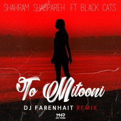 Shahram Shabpareh FT Blackcats - To Mitooni ( DJ Farenhait Remix )