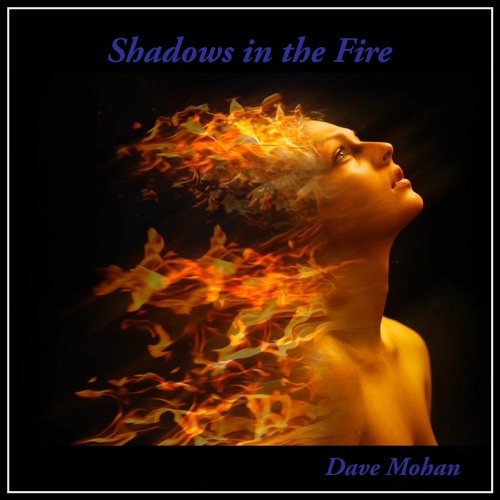 Shadows In The Fire