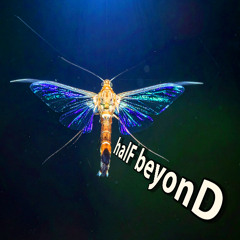 halF beyonD [naviarhaiku628]