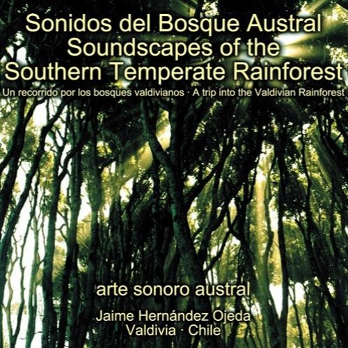 Stream arte sonoro austral | Listen to Sonidos del Bosque Austral playlist  online for free on SoundCloud
