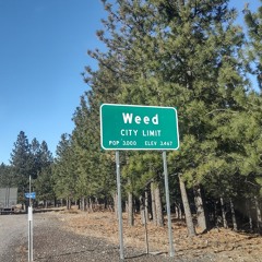 Recording my way to TRUTH in PDX...10.5 hr drive...