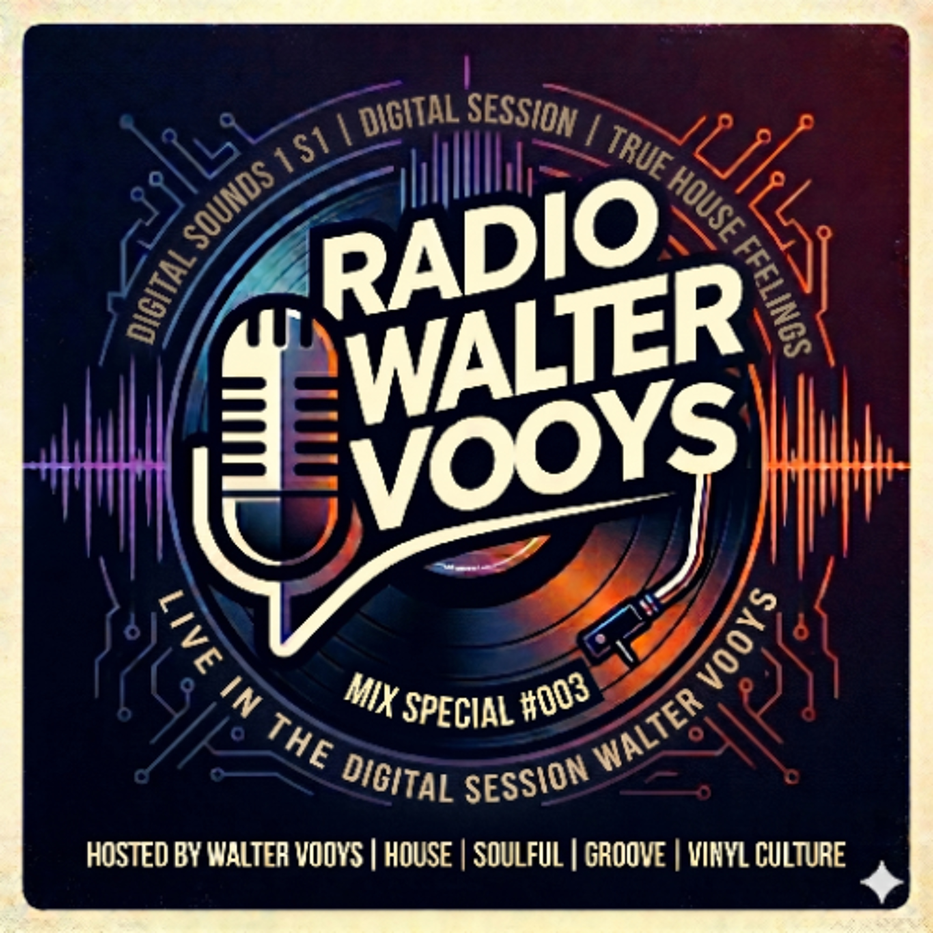 Radio Walter Vooys Mix Special 3 Digital episode artwork