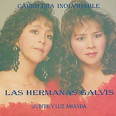 Gaviota sin nido