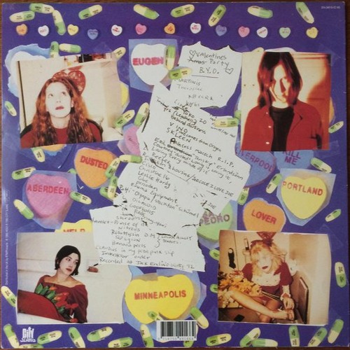 Hole - 20 Years In The Dakota
