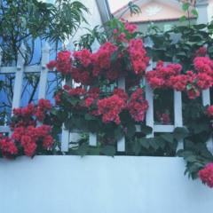 khước từ