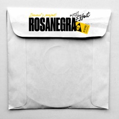 Davinci's Proyect (ROSANEGRA In Full Effect)