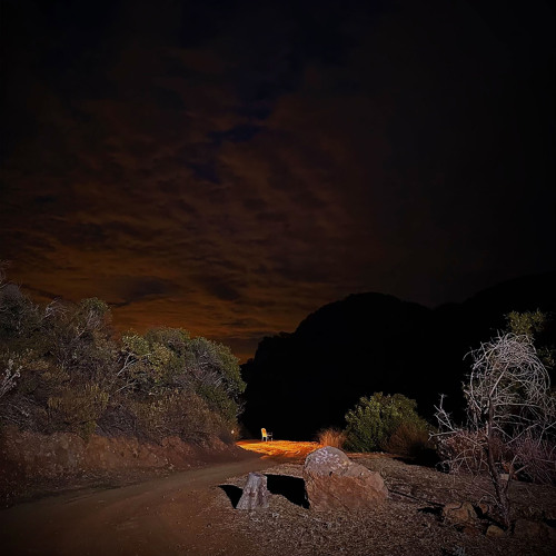 Songs I play on repeat