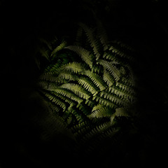 Eem | free download