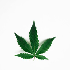 Chronic Tribute Training 1