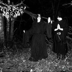 paranoidal shizophrenia