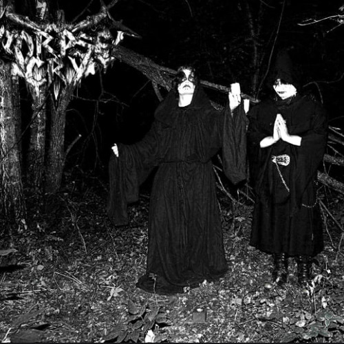 paranoidal shizophrenia