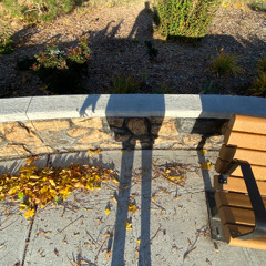 The World We Live In