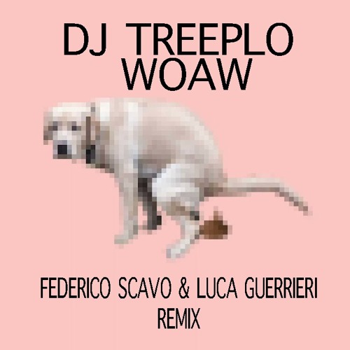 Dj Treeplo - Woaw - Feat. Salmo - Federico Scavo & Luca Guerrieri Remix