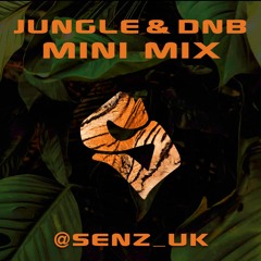 JUNGLE & D&B Mini Mix [August 2023]