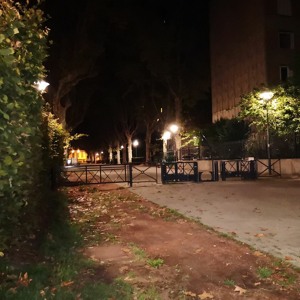 Le béguin pour Roll Le Barge [safar] (26.10.22)