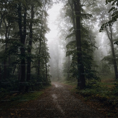 Snajpens - Running