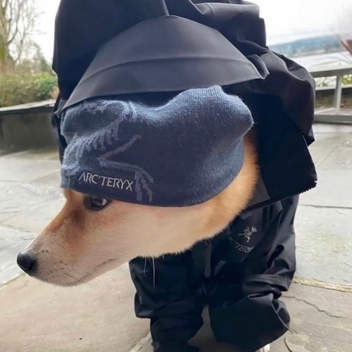 So Different w/glasscastle (cli)