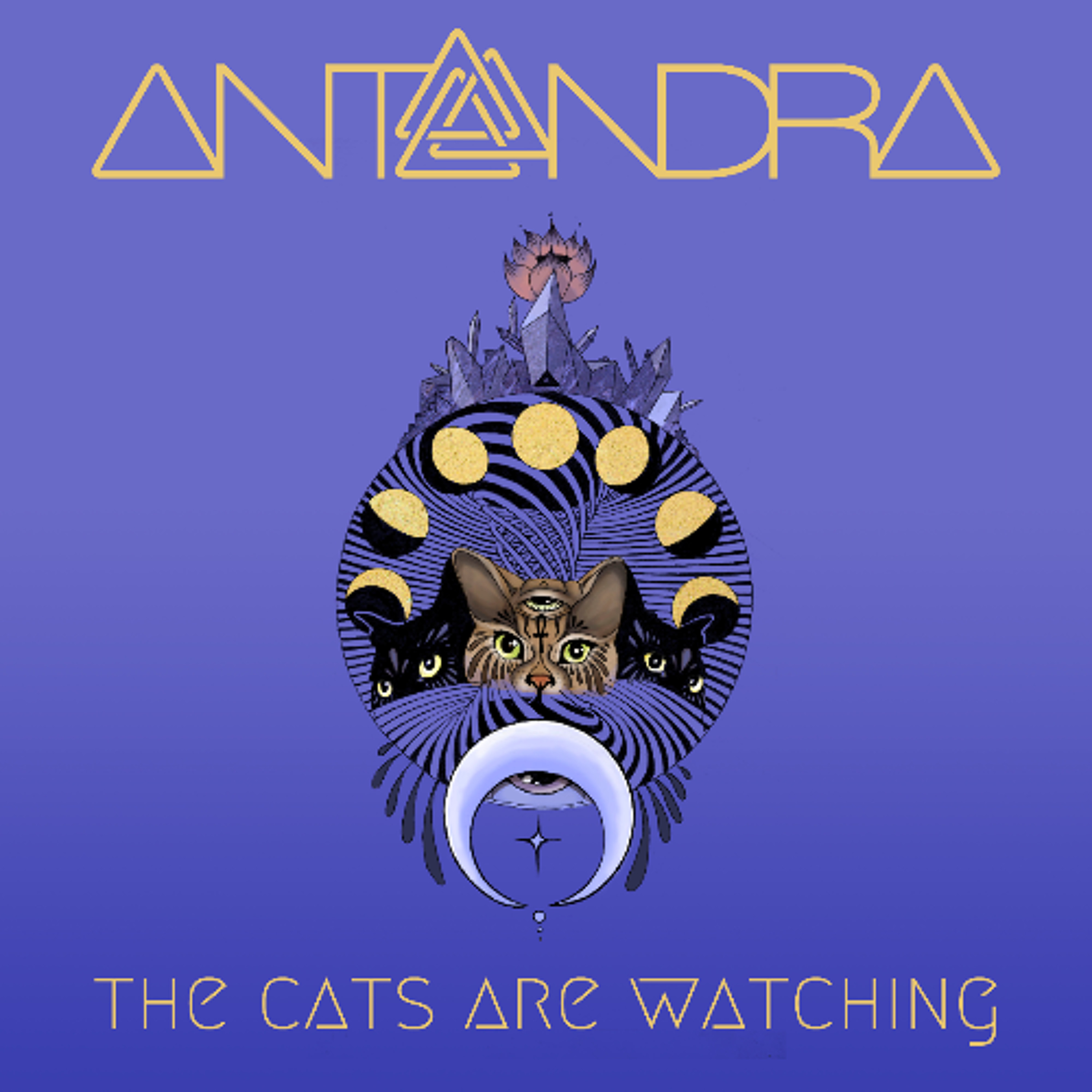 Antandra\'s Podcast