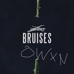 bruises - lewis capaldi (cover by owxn)