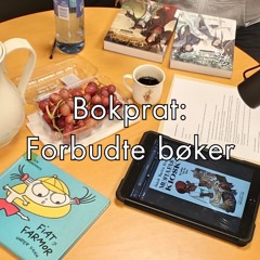 #117 - Bokprat spesial: Forbudte bøker 2