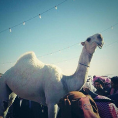 ‎⁨تكفون ياللي تمرونه بطيء⁩.m4a