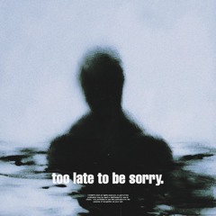 To Late To Be Sorry.