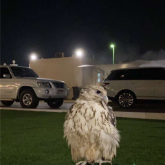‎⁨باقي من الوقت⁩