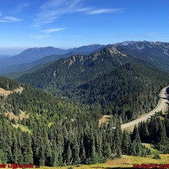 Out On The Ridge - Combstead / Robert Grigg