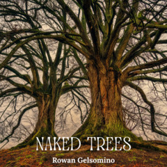 Naked Trees
