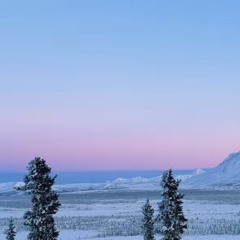 Told Me So (prod. lmgmadeit)