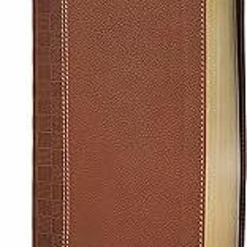 Get FREE B.o.o.k NIrV, Giant Print Compact Bible, Leathersoft, Brown, Comfort Print