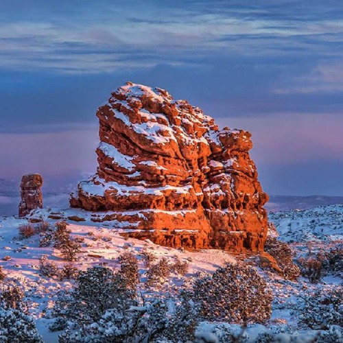 Urban Dropper - Frozen Desert