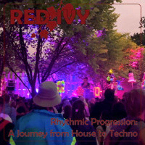 Rhythmic Progression: A Journey from House to Techno