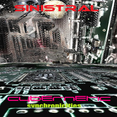 cybernetic synchronicities