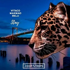 Vitaco, MaxMao, BeLu - Stay (Original Mix)| ★OUT NOW★