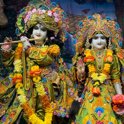 Rasa Kishore - Wednesday Night Kirtan, Bhaktivedanta Manor - 2025.07.02