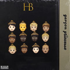 Hb-viz-garçon princesse