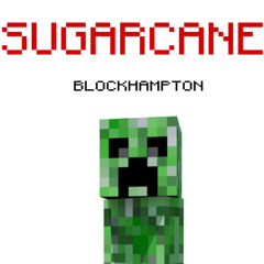 BLOCKHAMPTON - SUGARCANE