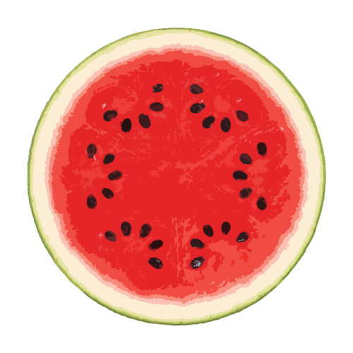 KSP/120 / Blake - 100 Days Of Summer Vol.1