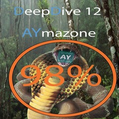 DeepDive 12 - AYmazone - 98% Almost, Almost the End!