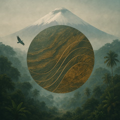 Resonancias del territorio