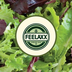 spring mix 2024