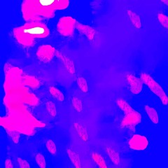 xavier - sweaty feat (Prod by YANIS) [Slowed]